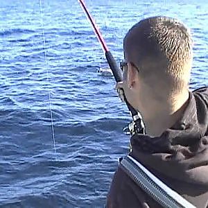 Angeln in Norwegen auf Hitra- Norway Big Game Fishing