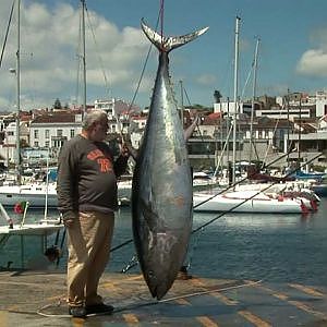 Big Game Fishing - S.Miguel, Açores
