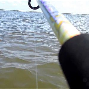 Big Game Solo Kayak Fishing: Tarpon and Shark