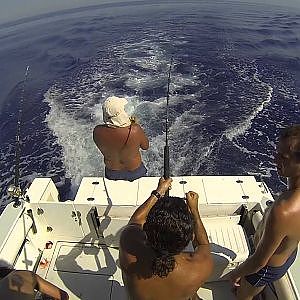 GoPro HD: Tuna Fishing in Herceg-Novi