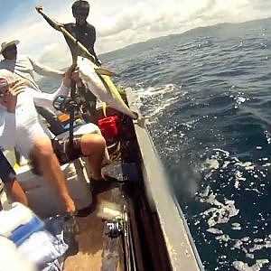 Game fishing in Fiji - yellowfin tuna fight