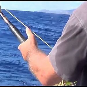 AZORES BIG GAME FISHING 2013 - 02