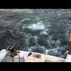 Godspeed commercial king mackerel fishing 11/14/2011