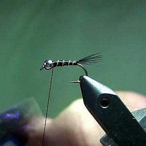 Fliegenbinden Black Nymph Spezial