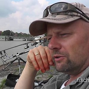 Matze Koch: Aale am Hafen tagsüber - Matzes Mätzchen 05-2015