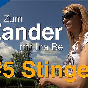 Auf Zander mit Ina Be: #5 Stinger