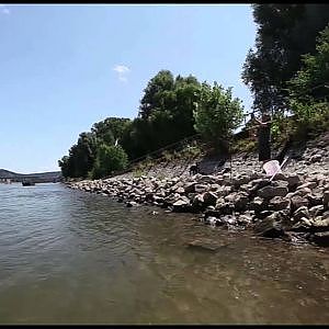 Barben-Angeln am Rhein - YouTube