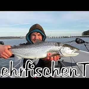 Meerforellenangeln vom Boot *3xPB geknackt* - YouTube