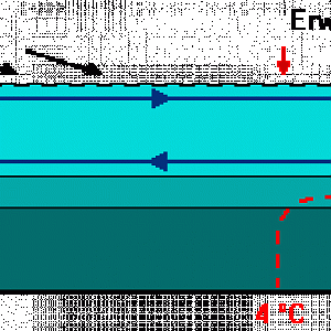 Sommerliche Sprungschicht im geschichteten See