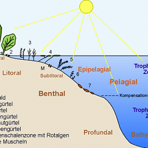 Lebensräume