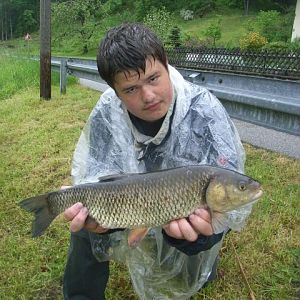 50er Aitel aus dem Fluss Regen