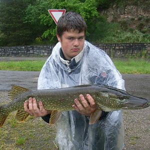 Kapitaler Hecht aus dem Regen bei Marienthal