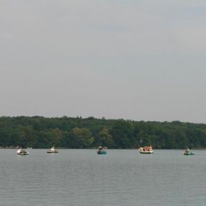 Renkenhotspot am Wörthsee