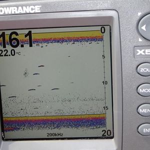 Farbecholot Lowrance X 515cDF