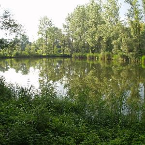 Unser See 3 in der Nachbargemeinde Steinheim