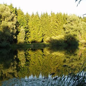 Unser See 2 in Steinheim (Nachbargemeinde) mein Lieblingsgewässer