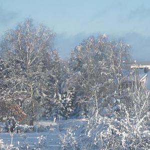 Wintereinbruch in Letland