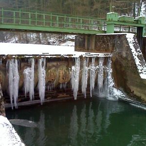 Eisberge in der Saale!