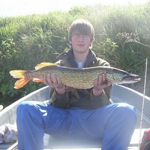 81cm 4kg 50g - gefangen auf einen 5er Mepps in Platínum Rot in der Peene bei Anklam Mai 2009