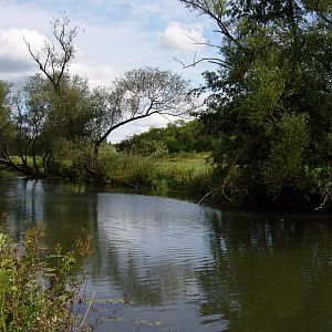 Saale bei Elfershausen