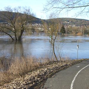 Hochwasser Main 2010 (1)