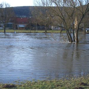 Hochwasser Main 2010 (2)