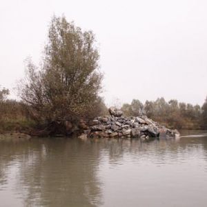 Das Ufer der alten Donau