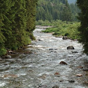 Schöne Fliegenstrecke