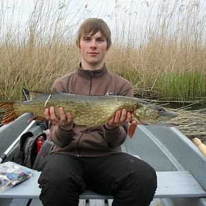 81er Hecht aus dem Mai 2010 Peene bei Anklam