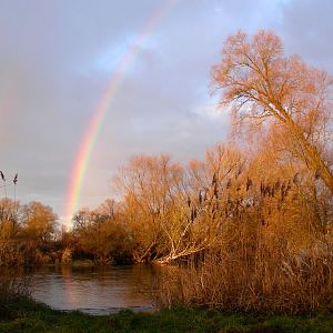 Regenbogen übernm Fluss