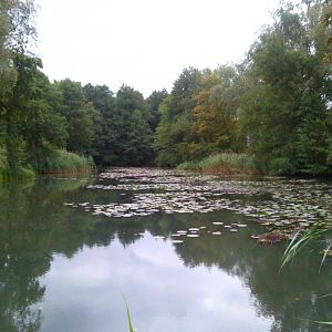 Lindenthaler Teich bei Gardelegen
