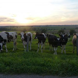 hier ist die Natur noch intakt