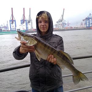 72er Zander, auf nen kleinen Köderfisch in der Elbe.