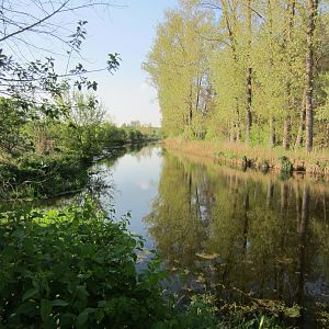 Nauen-Paretzer Kanal (Schöpfwerk Zeestow) 01.05.2012
Bild 1