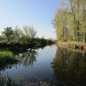 Nauen-Paretzer Kanal (Schöpfwerk Zeestow) 01.05.2012
Bild 8