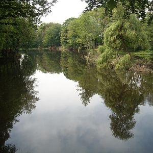 Teichanlage Westladbergen Saerbeck I