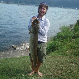 Monsterhecht vom letzten Jahr aus dem Bodensee 126cm !