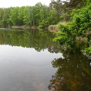 Blick nach rechts, tieferes Gewässer, sichtbar auch der/die Hauptspot/s des See's.