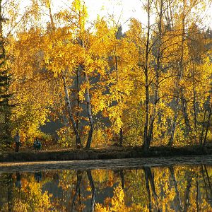 goldener Oktober am Perlsee