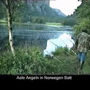 Aale Angeln in Norwegen Satt Satt