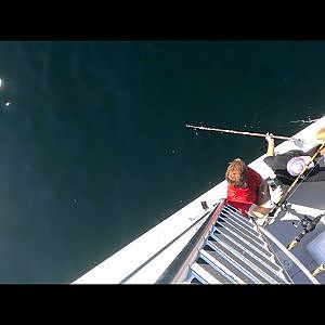 Massachusetts fishermen reel in 920-pound tuna off Cape Cod (VIDEO)