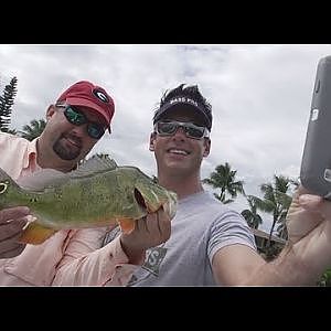Peacock Bass Fishing with Peter Miller