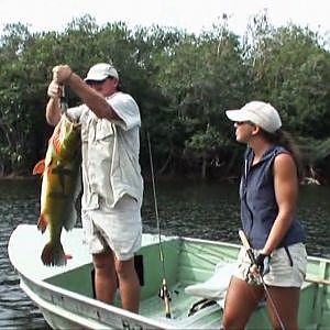 The Fish Finder Answers Back with a Trophy Peacock Bass