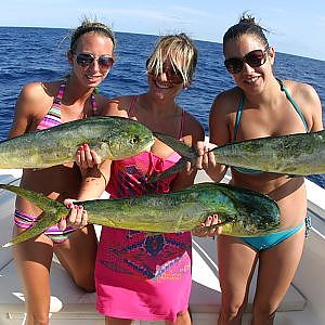 Sudden Dolphin/Mahi Explosion Swordfishing with the Girls South Florida