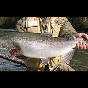 Capilano River Salmon Fishing