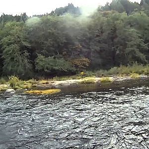 Bobber fishing Chinook Salmon on the Siuslaw river