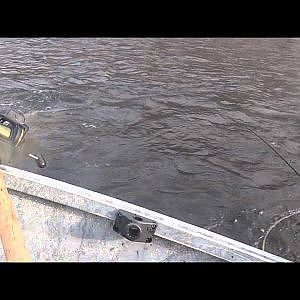 Salmon River Plug Bites