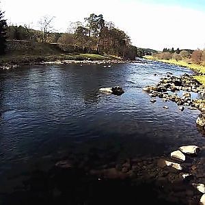 Salmon Fishing Scotland Cairnton, River Dee, Aberdeenshire.