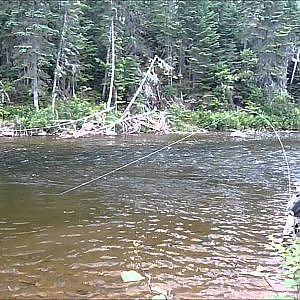Gaspe, Quebec, fly fishing for salmon