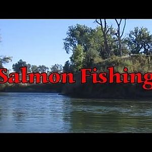 Salmon Fishing   Sacramento River